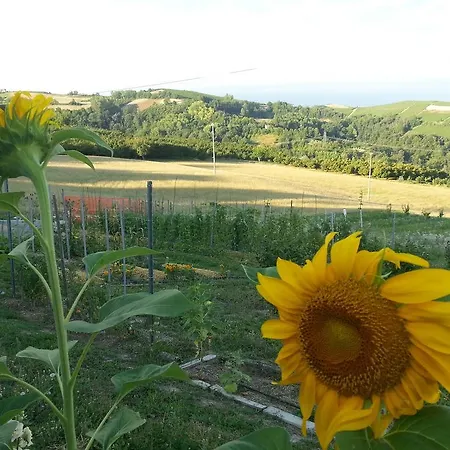 Διαμέρισμα Bel Piemonte
